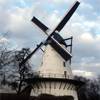 De stenen molen, Boechout (Antwerpen)