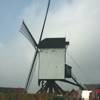 Prinskensmolen, Meerhout (Antwerpen)